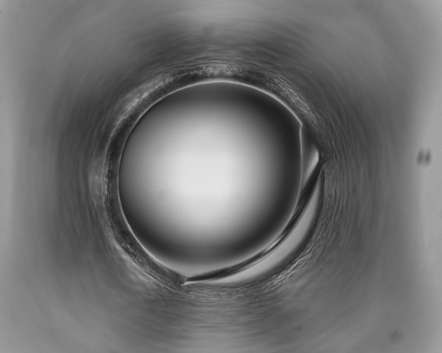 X0000090500722200707201546