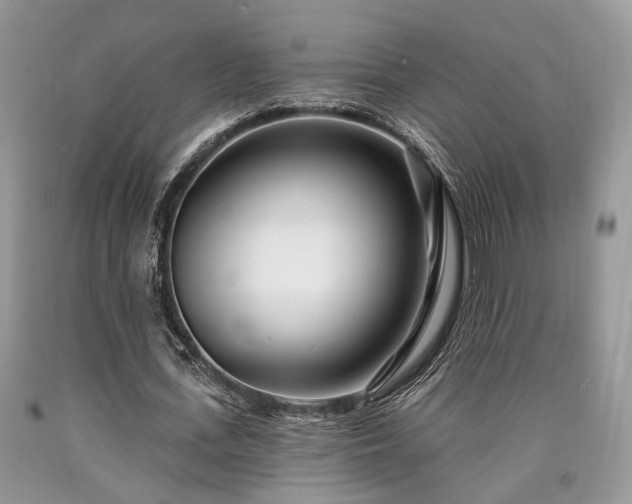 X0000090500723200707201546