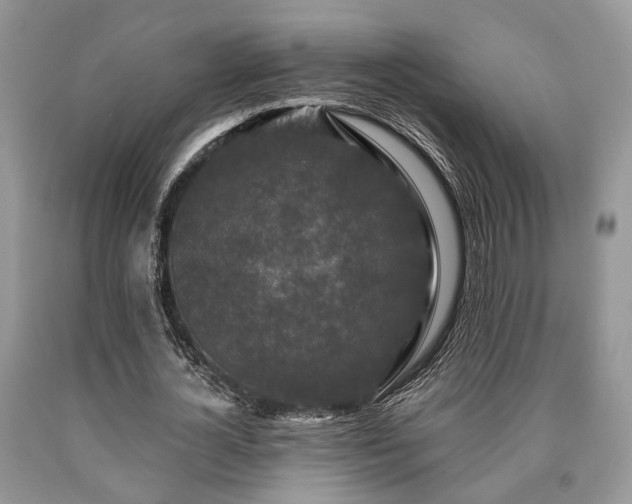 X0000090500724200707201546
