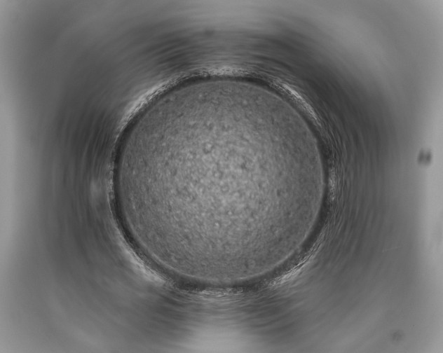 X0000090500725200707201546