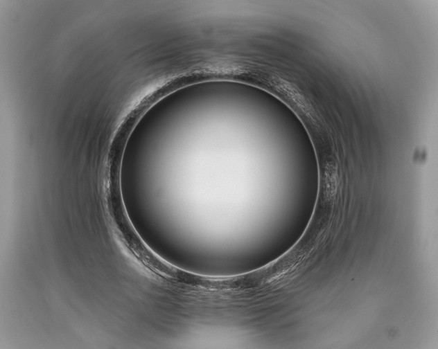 X0000090500726200707201546