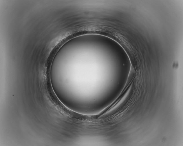 X0000090500727200707201546