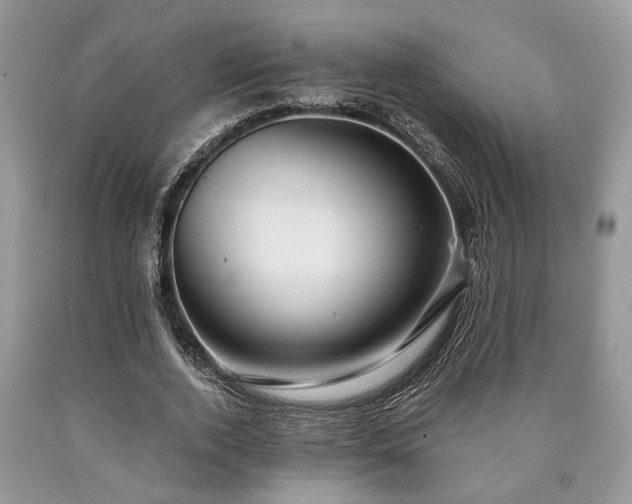 X0000090500728200707201546