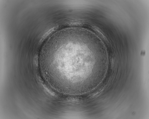 X0000090500729200707201546