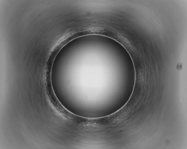 X0000090500730200707201546