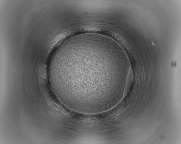 X0000090500731200707201546