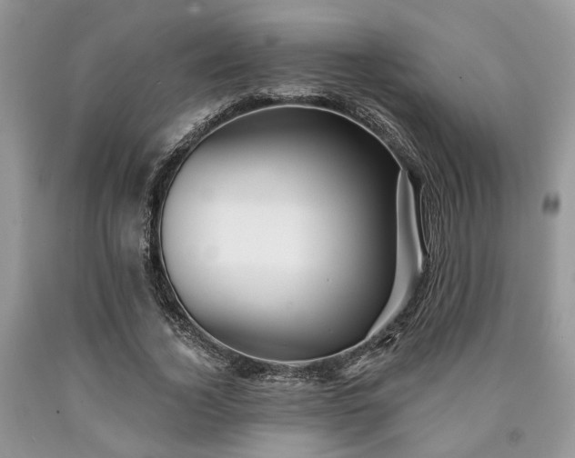 X0000090500732200707201546