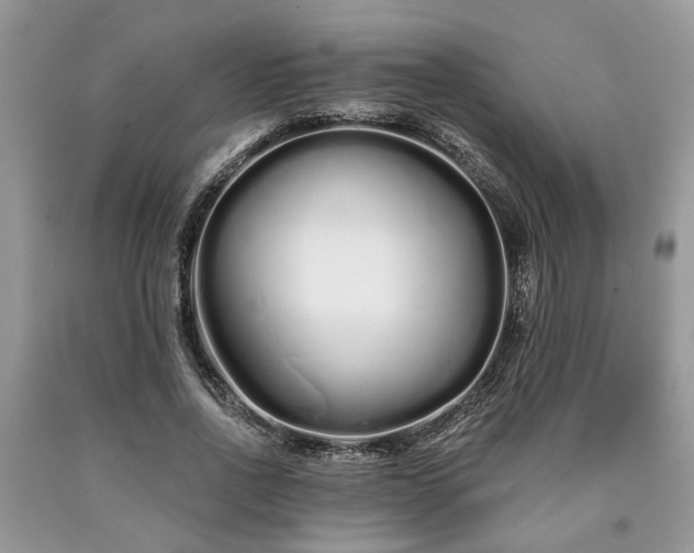 X0000090500734200707201546
