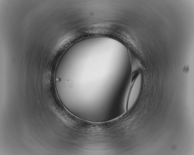 X0000090500735200707201546