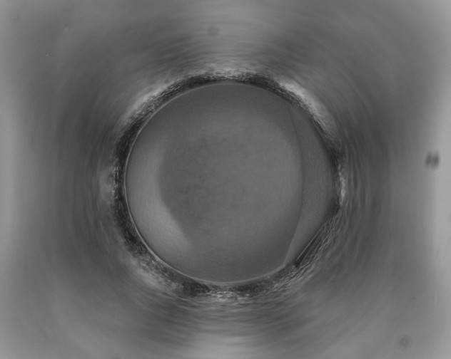 X0000090500736200707201546