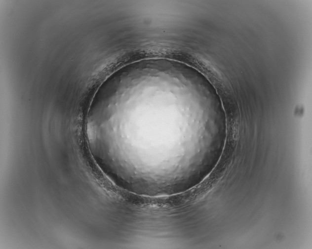 X0000090500737200707201546