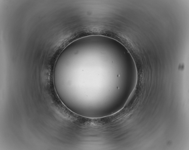 X0000090500739200707201546