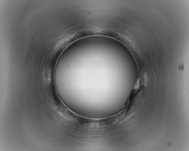 X0000090500740200707201546