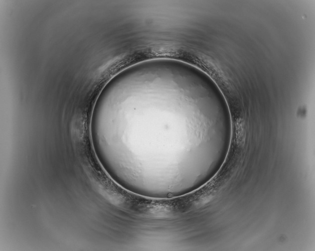 X0000090500741200707201546