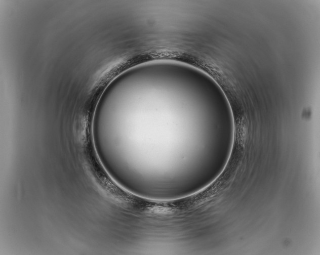 X0000090500742200707201546