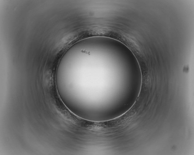 X0000090500743200707201546