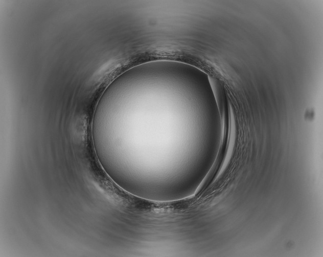 X0000090500744200707201546