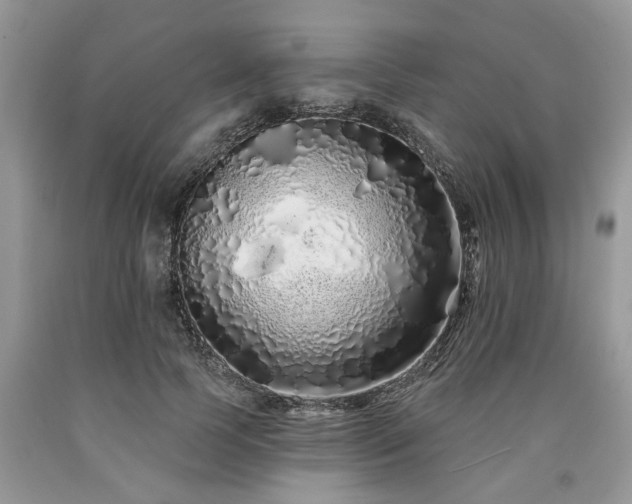 X0000090500745200707201546