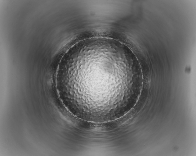 X0000090500746200707201546