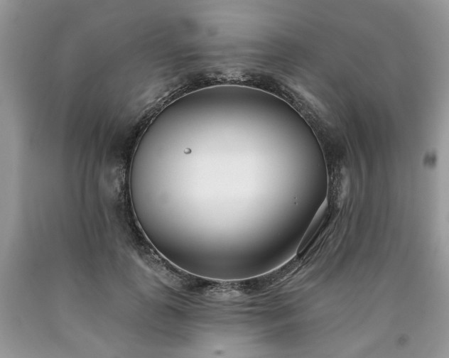 X0000090500747200707201546