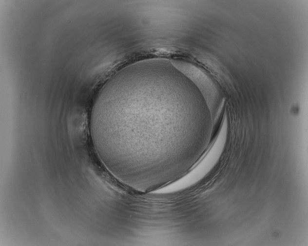 X0000090500748200707201546