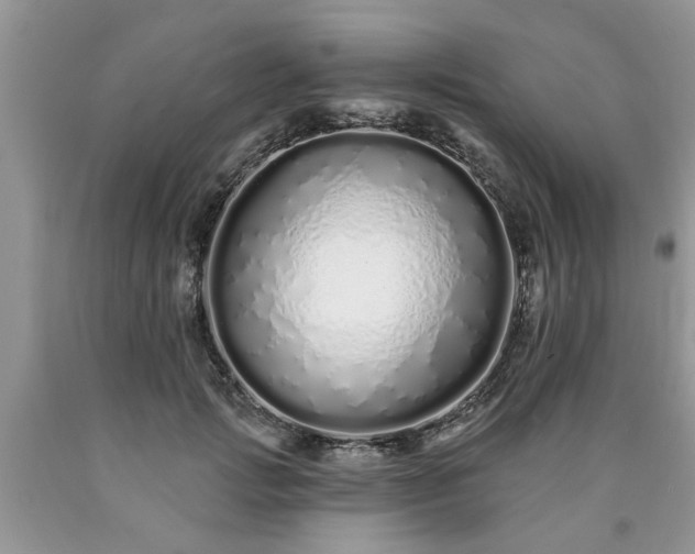X0000090500749200707201546
