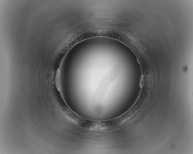 X0000090500750200707201546