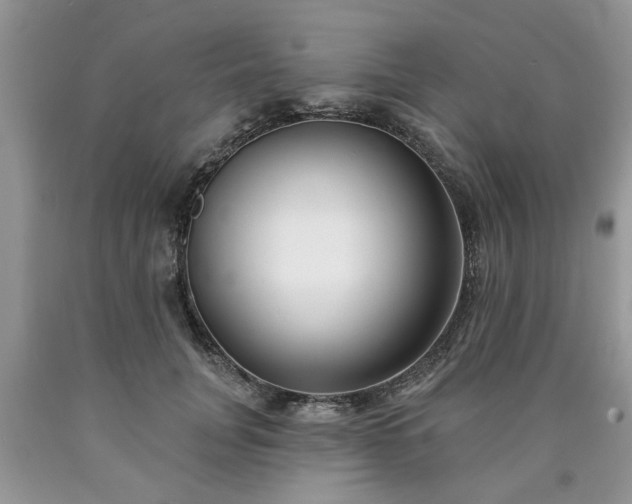 X0000090500751200707201546