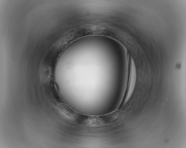 X0000090500752200707201546