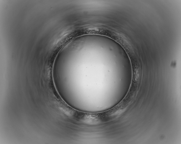 X0000090500753200707201546