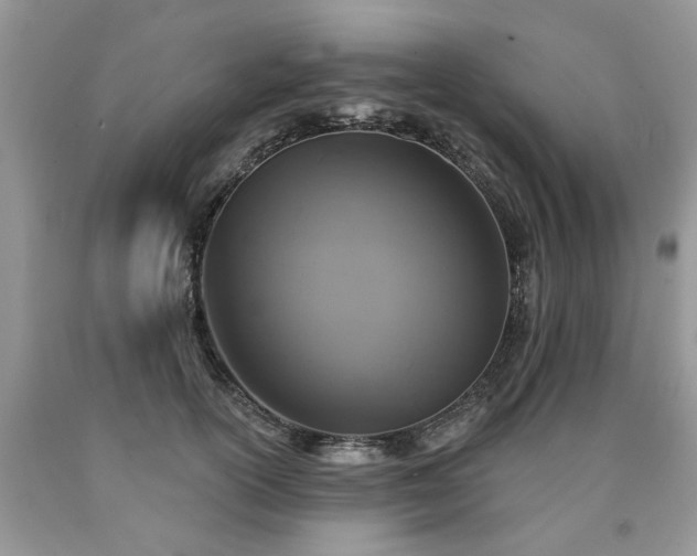 X0000090500754200707201546