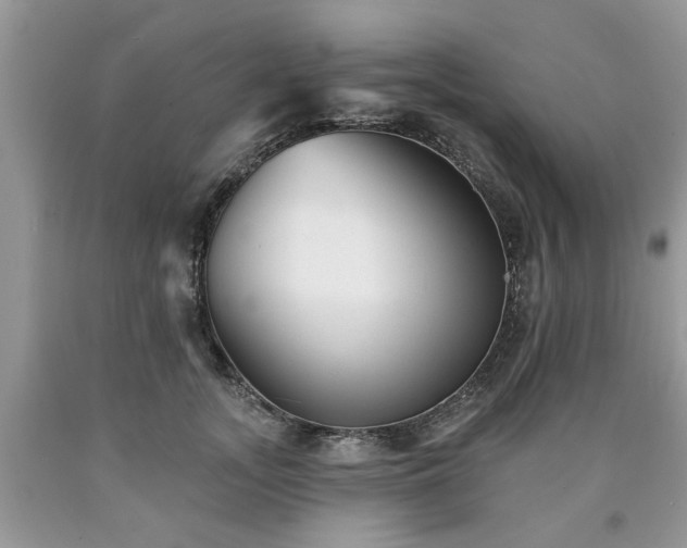 X0000090500755200707201546