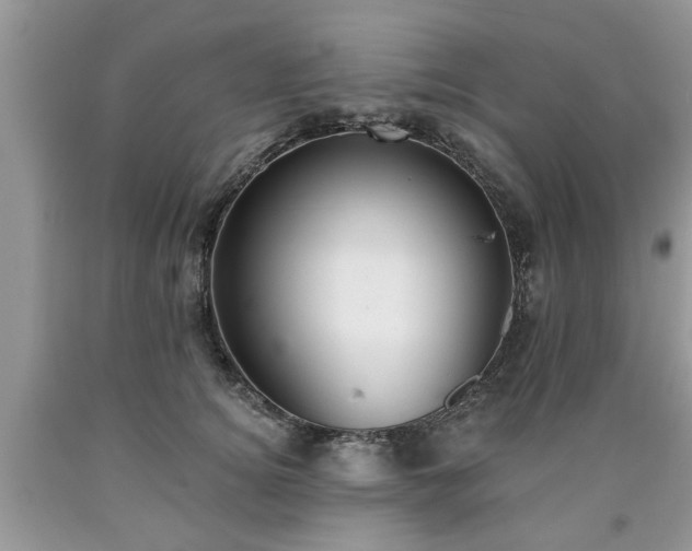 X0000090500756200707201546