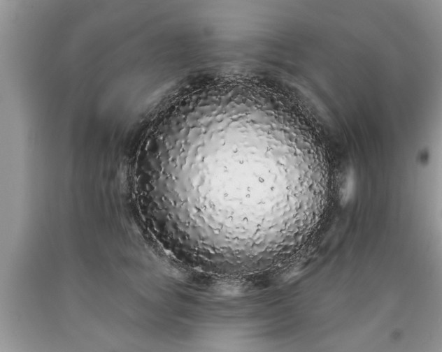 X0000090500757200707201546