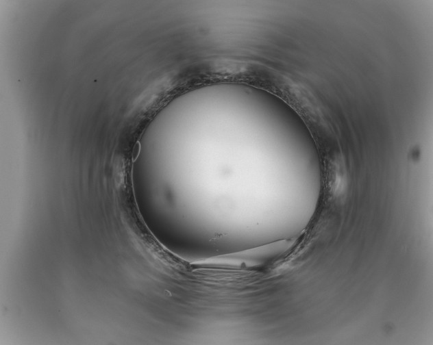 X0000090500758200707201546