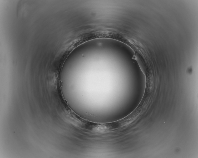 X0000090500759200707201546