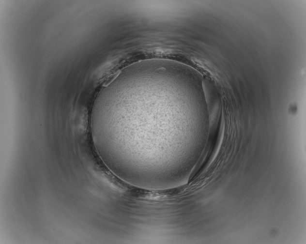 X0000090500760200707201546