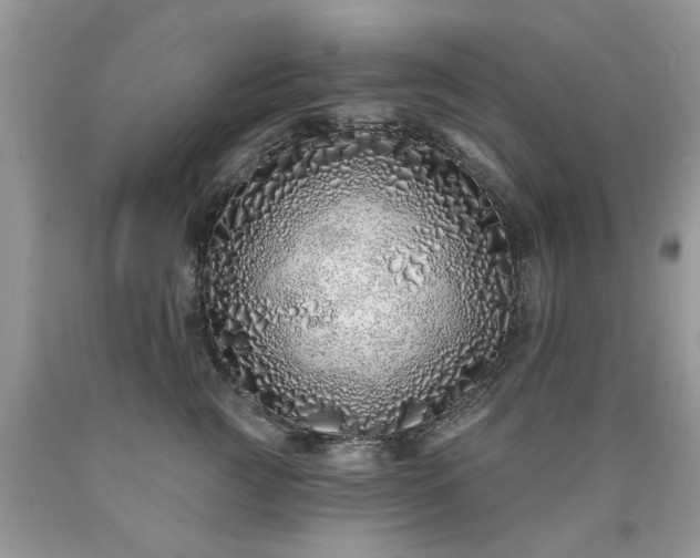 X0000090500761200707201546