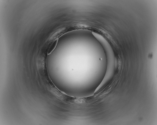 X0000090500762200707201546