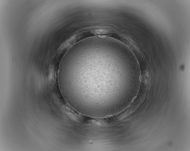 X0000090500763200707201546