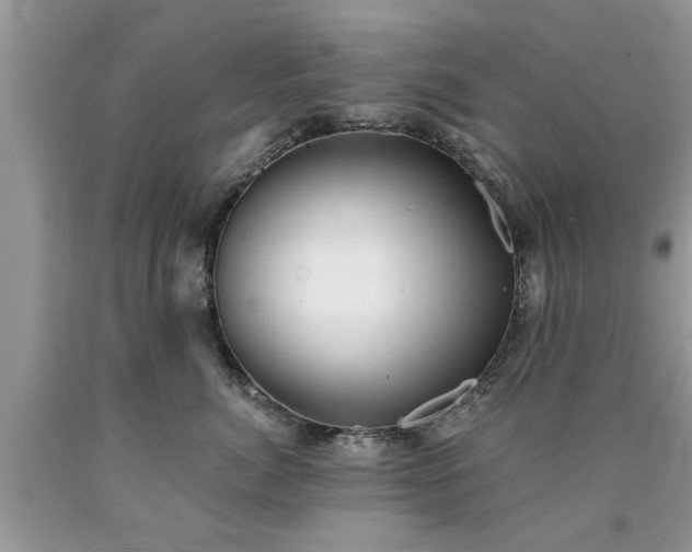 X0000090500764200707201546
