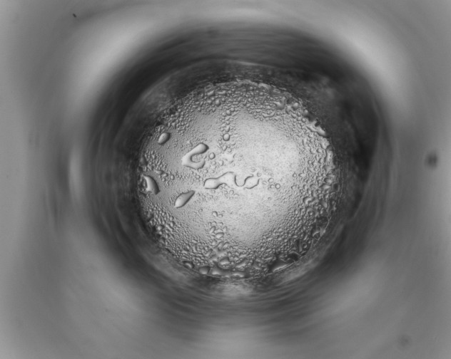 X0000090500765200707201546