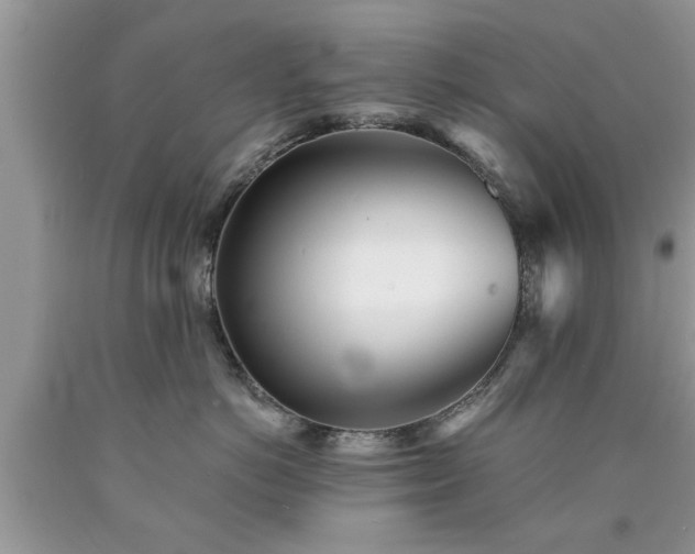 X0000090500766200707201546