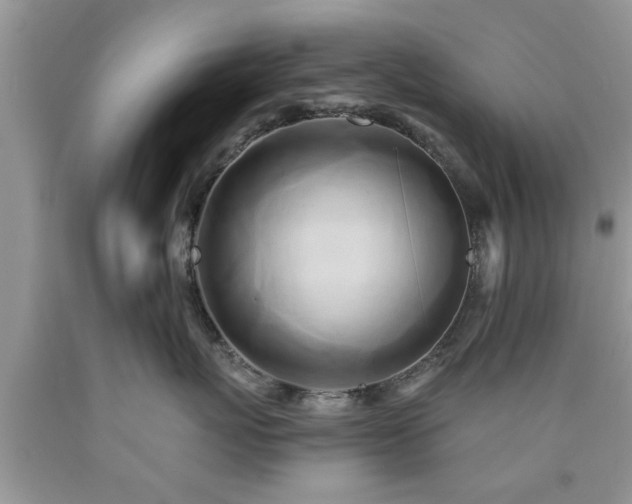 X0000090500767200707201546
