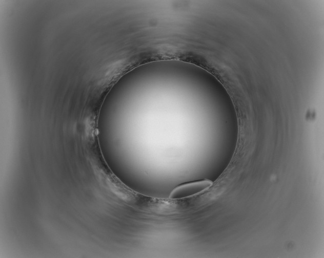 X0000090500768200707201546