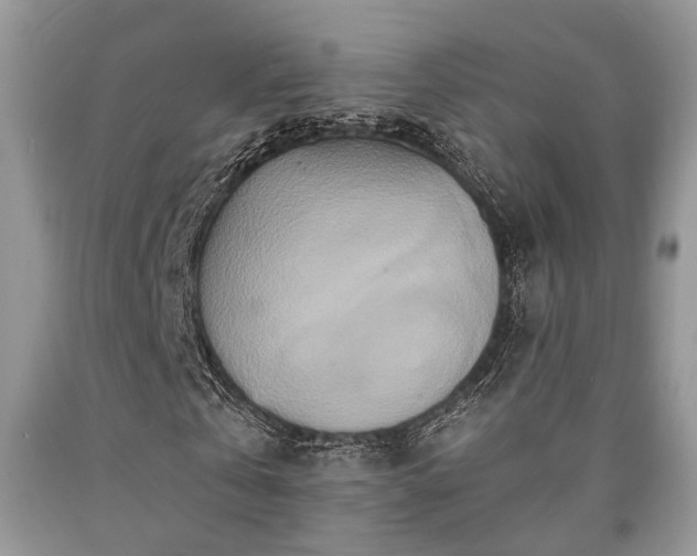 X0000090500769200707201546
