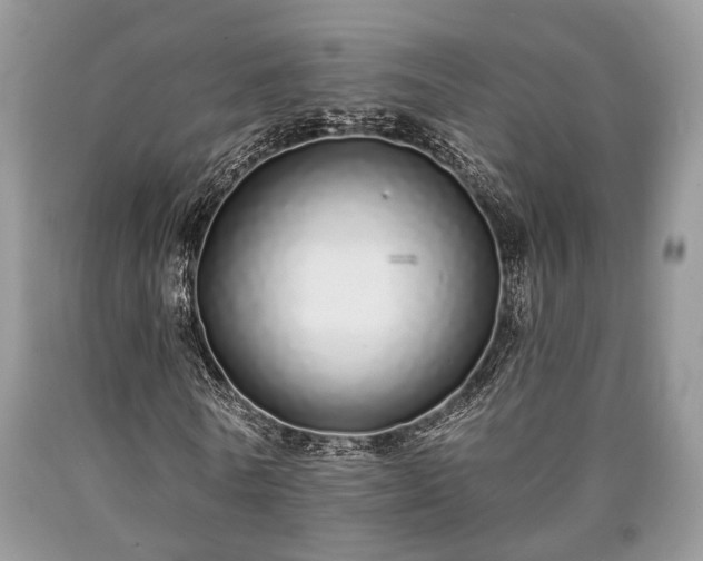 X0000090500770200707201546