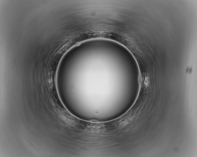 X0000090500771200707201546