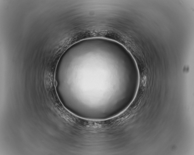 X0000090500772200707201546