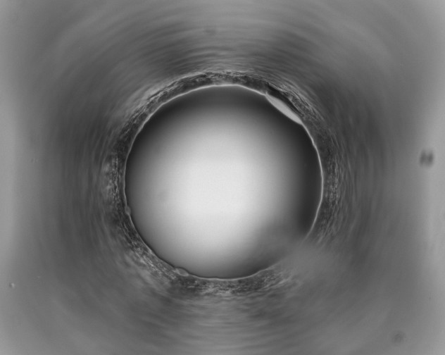 X0000090500773200707201546